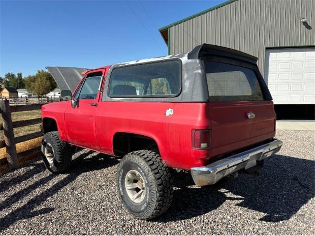 1985 Chevrolet Blazer (CC-1927940) for sale in Cadillac, Michigan