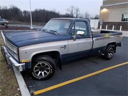 1981 Chevrolet C20 (CC-1927945) for sale in Cadillac, Michigan