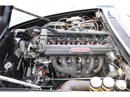 1964 Maserati Mistral (CC-1927987) for sale in Astoria, New York