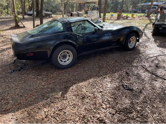 1979 Chevrolet Corvette (CC-1928223) for sale in Cadillac, Michigan