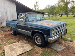 1986 Chevrolet C10 (CC-1928251) for sale in Cadillac, Michigan