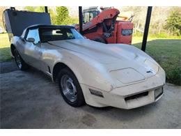 1980 Chevrolet Corvette (CC-1928264) for sale in Cadillac, Michigan