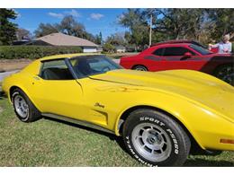 1976 Chevrolet Corvette (CC-1928266) for sale in Cadillac, Michigan