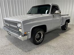 1981 Chevrolet C10 (CC-1928371) for sale in Houston, Texas