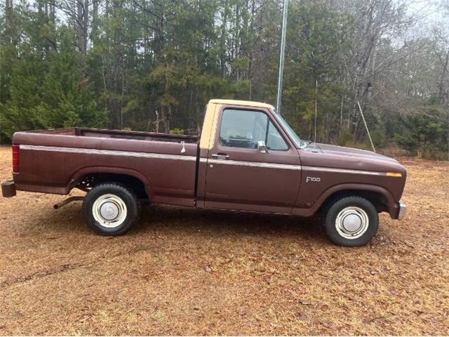 1982 Ford F100 (CC-1928740) for sale in Cadillac, Michigan