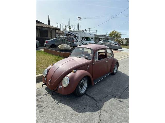 1966 Volkswagen Beetle (CC-1928751) for sale in Cadillac, Michigan