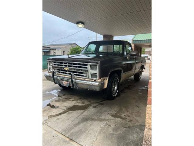 1985 Chevrolet C10 (CC-1928768) for sale in Cadillac, Michigan