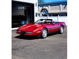 1989 Chevrolet Corvette (CC-1929166) for sale in Cadillac, Michigan