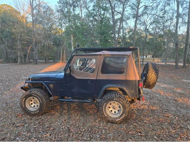 1994 Jeep Wrangler (CC-1929171) for sale in Cadillac, Michigan