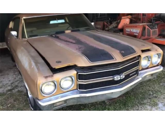 1970 Chevrolet Chevelle (CC-1929686) for sale in Cadillac, Michigan