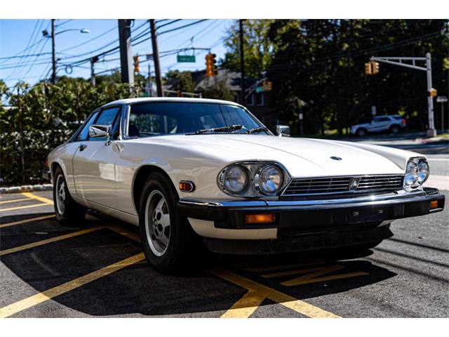 1982 Jaguar XJS (CC-1929908) for sale in Nashville, Tennessee