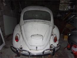 1967 Volkswagen Beetle (CC-1931552) for sale in Petoskey, Michigan