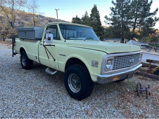 1971 Chevrolet Custom (CC-1931656) for sale in Cadillac, Michigan