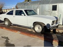 1976 Chevrolet Nova (CC-1931695) for sale in Cadillac, Michigan