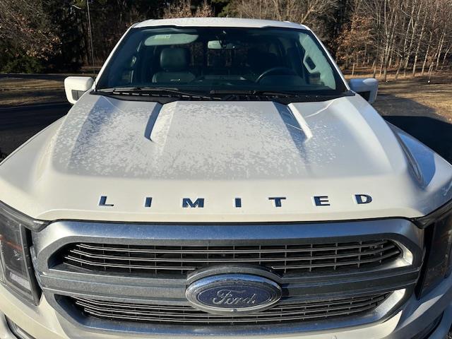 2021 Ford F150 (CC-1932541) for sale in DeKalb, Illinois