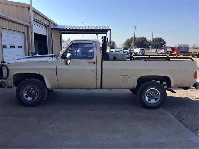 1985 Chevrolet C10 (CC-1932679) for sale in Cadillac, Michigan