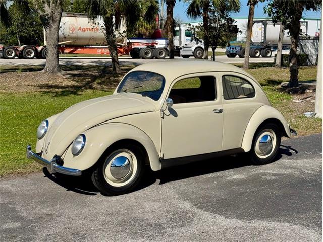 1951 Volkswagen Beetle (CC-1932702) for sale in Palmetto, Florida