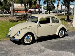 1951 Volkswagen Beetle (CC-1932702) for sale in Palmetto, Florida