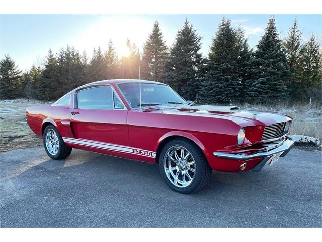 1966 Ford Mustang GT350 (CC-1932869) for sale in St. Cloud, Minnesota