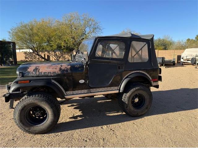 1980 Jeep CJ5 (CC-1932943) for sale in Cadillac, Michigan