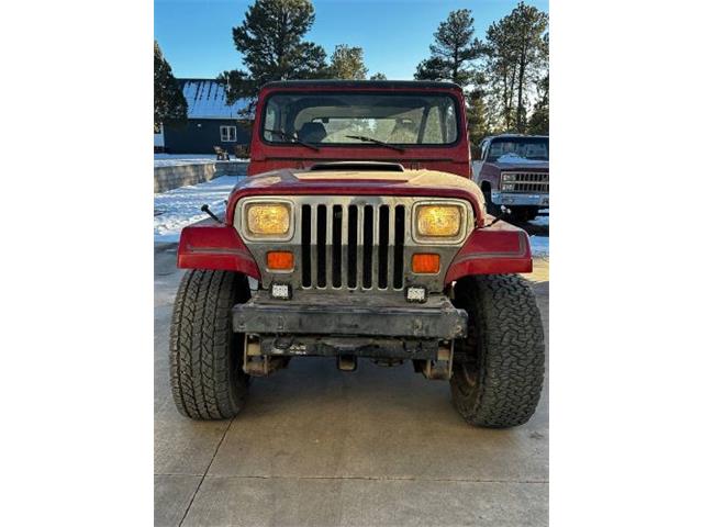 1988 Jeep Wrangler (CC-1932945) for sale in Cadillac, Michigan