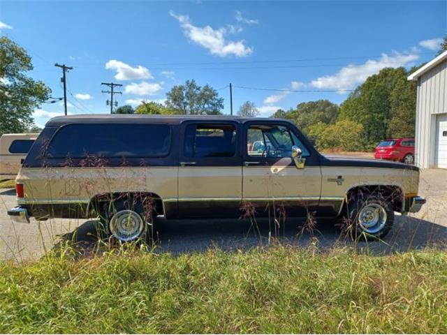 1987 Chevrolet Suburban (CC-1932975) for sale in Cadillac, Michigan