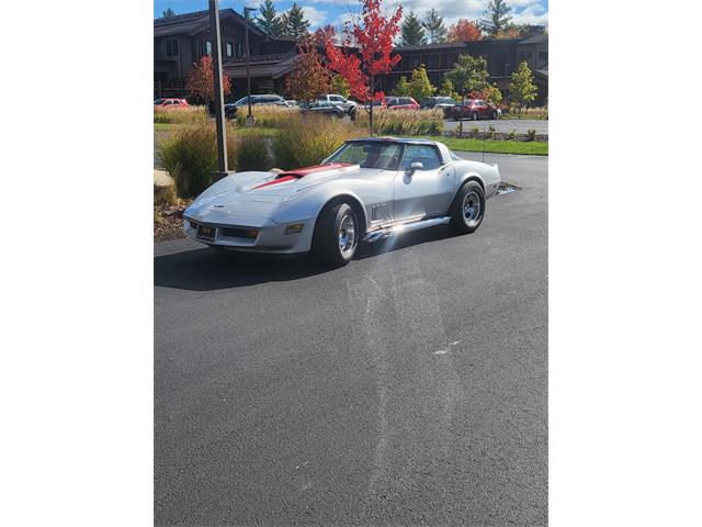 1980 Chevrolet Corvette (CC-1933072) for sale in PLover, Wisconsin