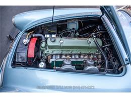 1959 Austin-Healey 100-6 (CC-1930341) for sale in Beverly Hills, California