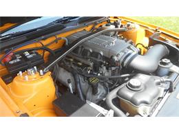 2007 Ford Mustang (CC-1933609) for sale in Greenville, North Carolina