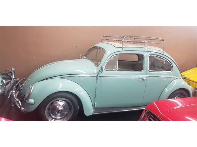 1957 Volkswagen Beetle (CC-1930421) for sale in Cadillac, Michigan