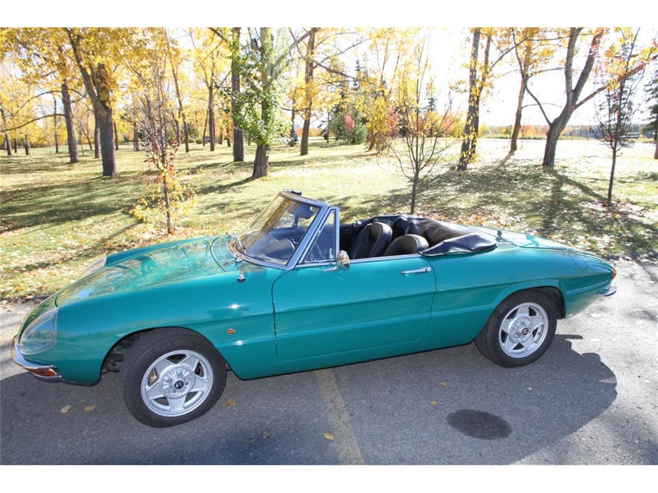 1968 Alfa Romeo Spider Duetto for Sale | ClassicCars.com | CC-1935192