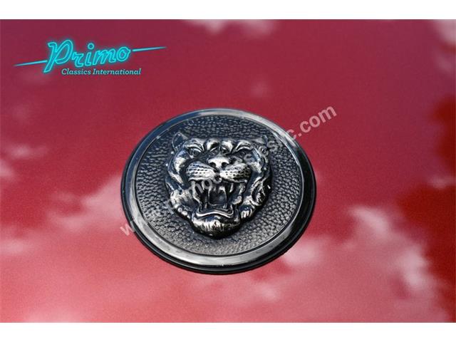 1996 Jaguar XJS (CC-1936351) for sale in Lakeland, Florida