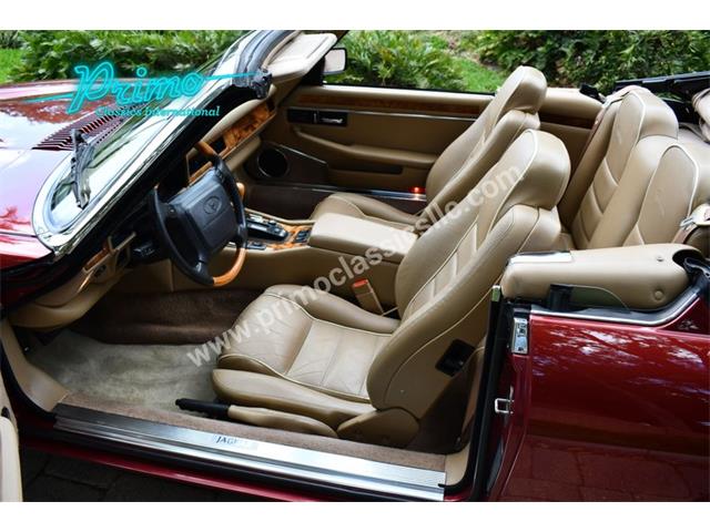 1996 Jaguar XJS (CC-1936351) for sale in Lakeland, Florida