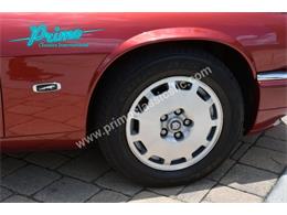 1996 Jaguar XJS (CC-1936351) for sale in Lakeland, Florida