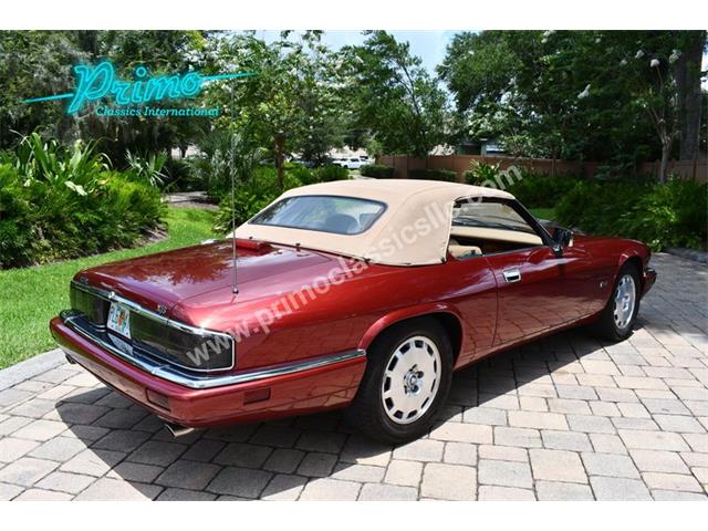 1996 Jaguar XJS (CC-1936351) for sale in Lakeland, Florida