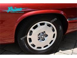 1996 Jaguar XJS (CC-1936351) for sale in Lakeland, Florida