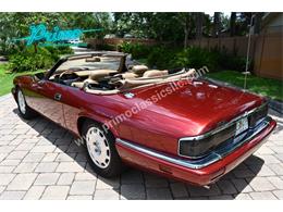 1996 Jaguar XJS (CC-1936351) for sale in Lakeland, Florida