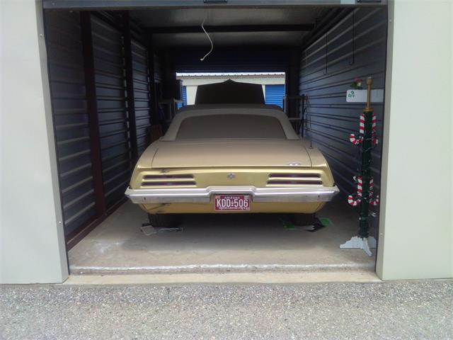 1969 Pontiac Firebird (CC-1936713) for sale in Tucson, Arizona
