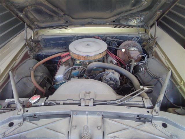 1969 Pontiac Firebird (CC-1936713) for sale in Tucson, Arizona