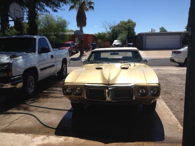 1969 Pontiac Firebird (CC-1936713) for sale in Tucson, Arizona