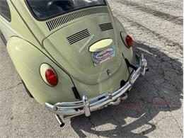 1969 Volkswagen Beetle (CC-1930716) for sale in Alsip, Illinois