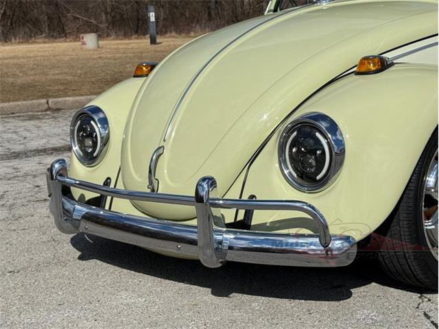 1969 Volkswagen Beetle (CC-1930716) for sale in Alsip, Illinois