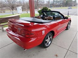 1994 Ford Mustang SVT Cobra (CC-1937236) for sale in Carlisle, Pennsylvania