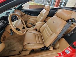 1994 Ford Mustang SVT Cobra (CC-1937236) for sale in Carlisle, Pennsylvania