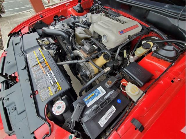 1994 Ford Mustang SVT Cobra (CC-1937236) for sale in Carlisle, Pennsylvania