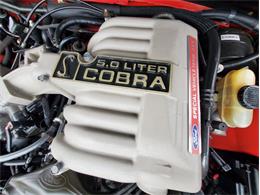 1994 Ford Mustang SVT Cobra (CC-1937236) for sale in Carlisle, Pennsylvania