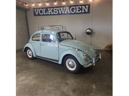 1964 Volkswagen Beetle (CC-1930073) for sale in Cadillac, Michigan