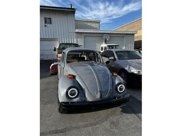 1976 Volkswagen Beetle (CC-1930751) for sale in Cadillac, Michigan