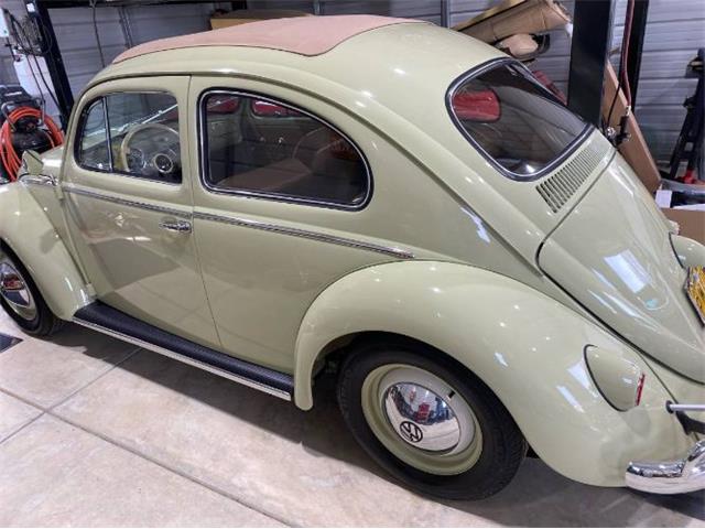 1959 Volkswagen Beetle (CC-1930756) for sale in Cadillac, Michigan