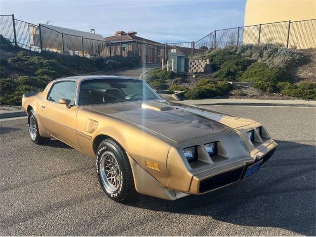 1979 Pontiac Firebird Trans Am (CC-1930770) for sale in Cadillac, Michigan